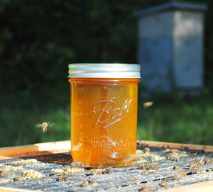 Legend's Creek Farm - Rhode Island Honey & Goat Milk Soap