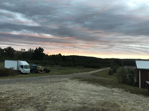 Horse Listener's Orchard