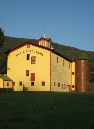Maple Shade Farm