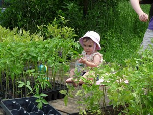 New York Natural Farming