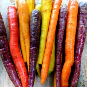 Harvest Tide Organics