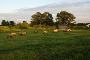 Rolling Acres Farm