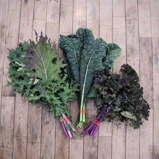 Frog Hollow Farm CSA