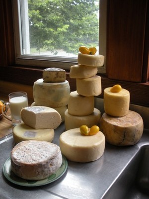 Aa Cheese Making Class in SPRINGFIELD, ILL, with Merryl Winstein, Cheesemaking