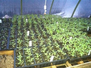 Howard Family Farm