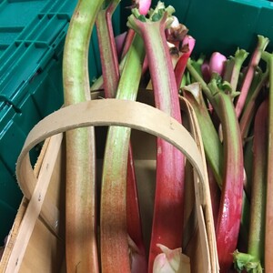 Agriberry Farm and CSA