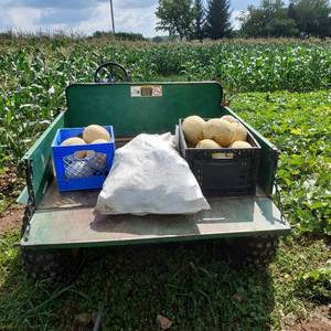JandW Farm
