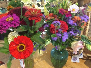 Manoff Market Gardens