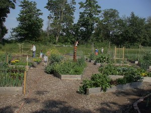 Fern Hollow Gardens