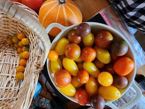 Twin Creek Gardens CSA