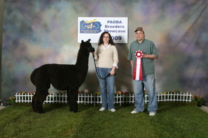 C and C Alpaca Factory