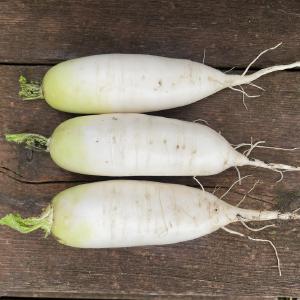Blue Sky Vegetable Co.