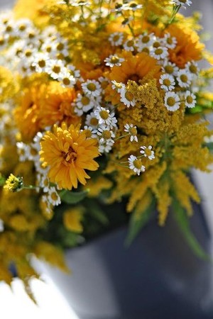 Farner's Country Flowers