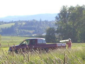 Kookoolan Farms LTD