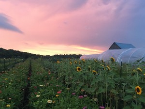 Art Farm Flowers