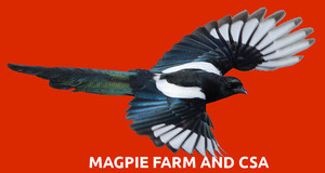 Magpie Farm