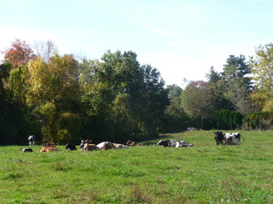 Eastleigh Farm