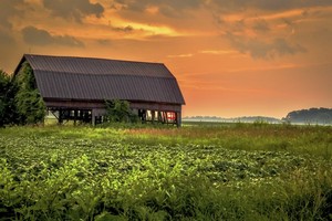 RawSpaceForRent.com