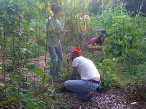 Hays County Food Bank Garden