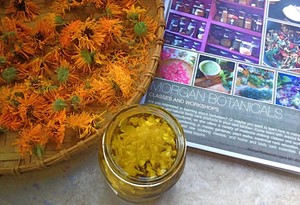 Morgan Botanicals