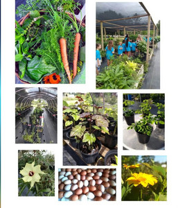 Momma G Farms