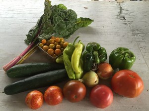 Clark's Elioak Farm- Produce