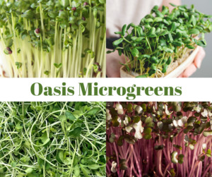 Oasis Microgreens