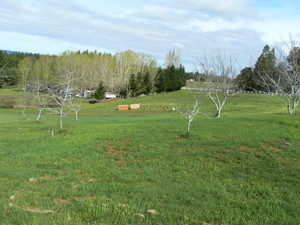Real Food Farms