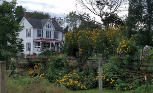 Sycamore Spring Farm