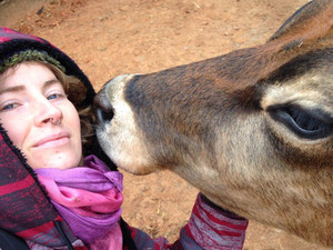 Sacred Harvest Ahimsa Dairy