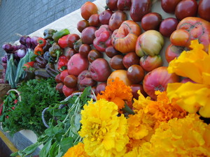 Vibrant Valley Farm