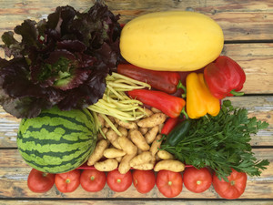 Root 5 Farm