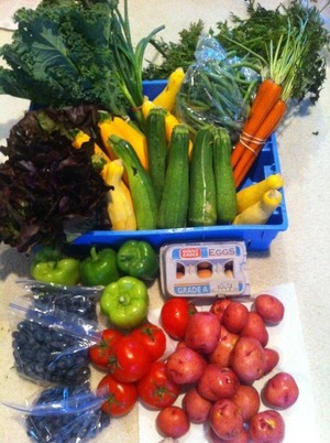 PJ'S All Natural Farms and Greenhouse