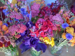 Dundee Dirtbox CSA