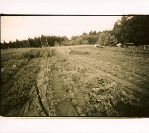 Wealth Underground Farm