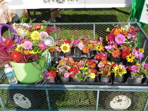 Walkerton Farmers Market