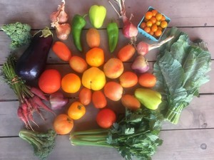 Stoneledge Farm LLC