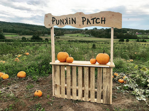 Angevine Farm