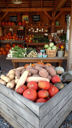 Willowsford Farm