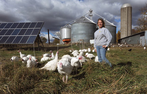 RC Organic Farms