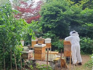 InnerSource Wellness Center and Urban Regenerative Sustainability
