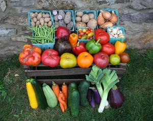Sandbrook Meadow Farm