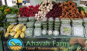 Ahavah Farm