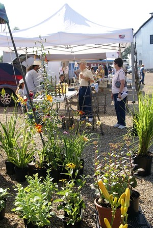 City of Plainwell Farmers Market