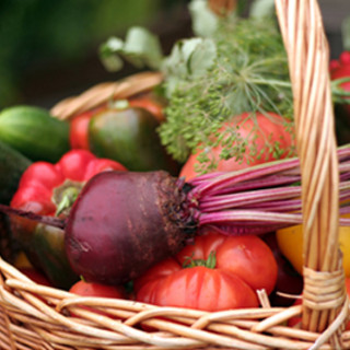 Plow to Porch Organics, Inc