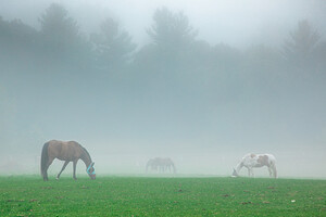 The Farm at SummitWynds Inc