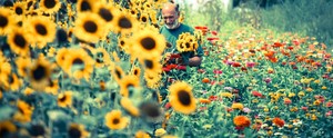 Lansing Farm Market & Greenhouses