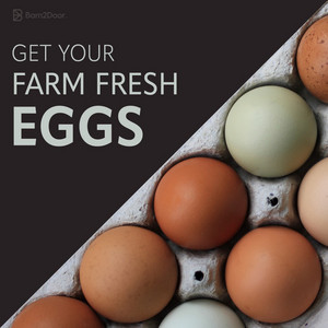 Rank Homestead Farm Products