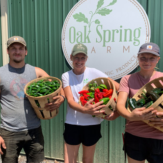 Oak Spring Farm