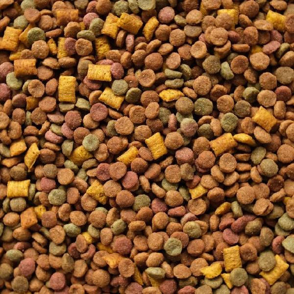 pet food
